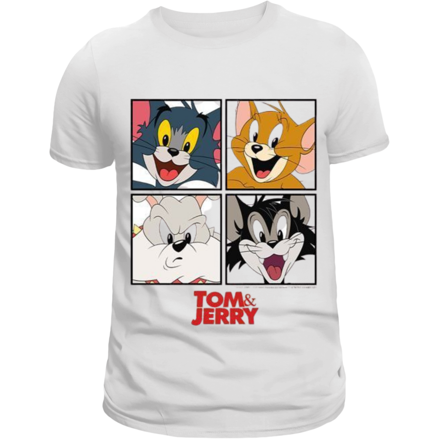 Tom & Jerry 2
