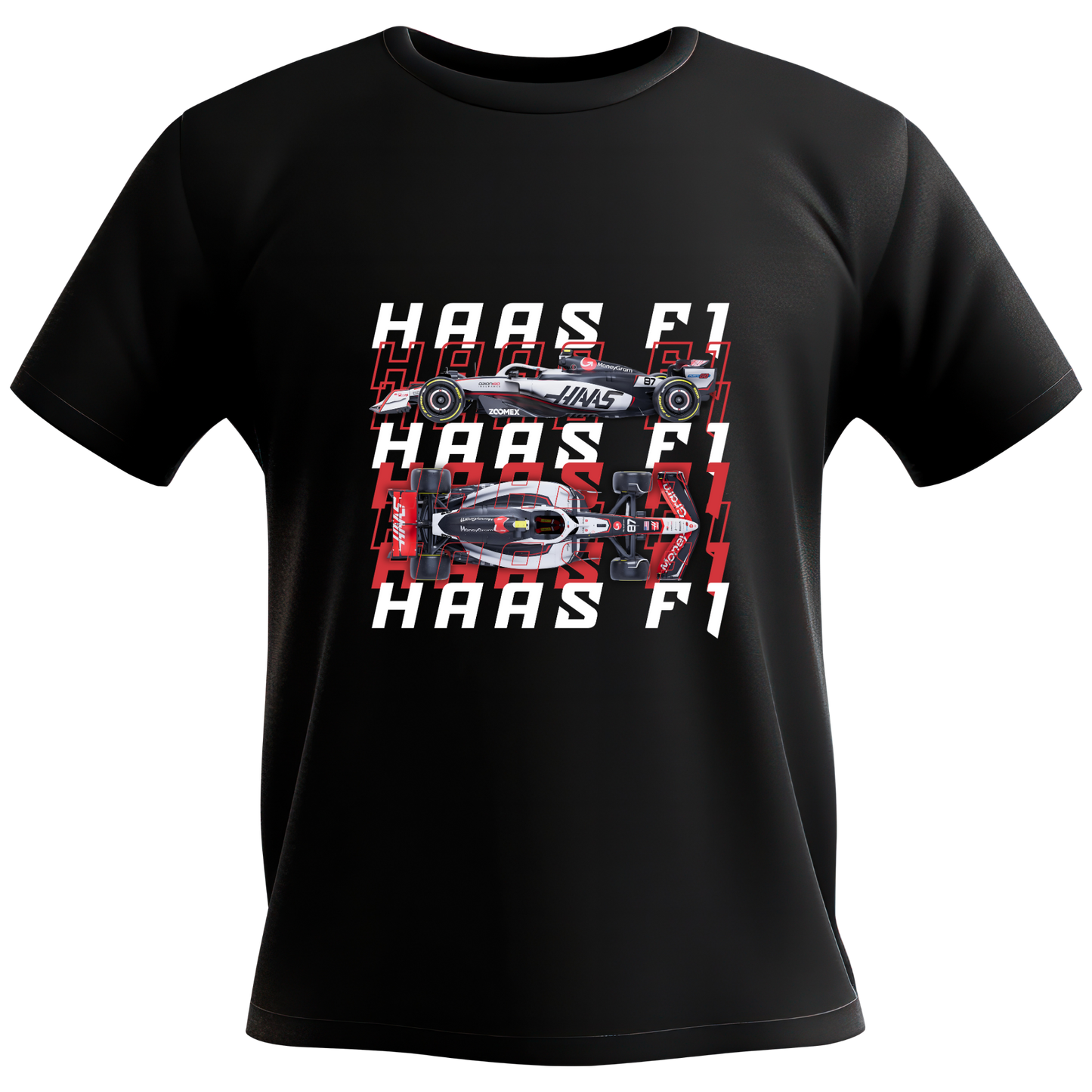 Haas 3 TS
