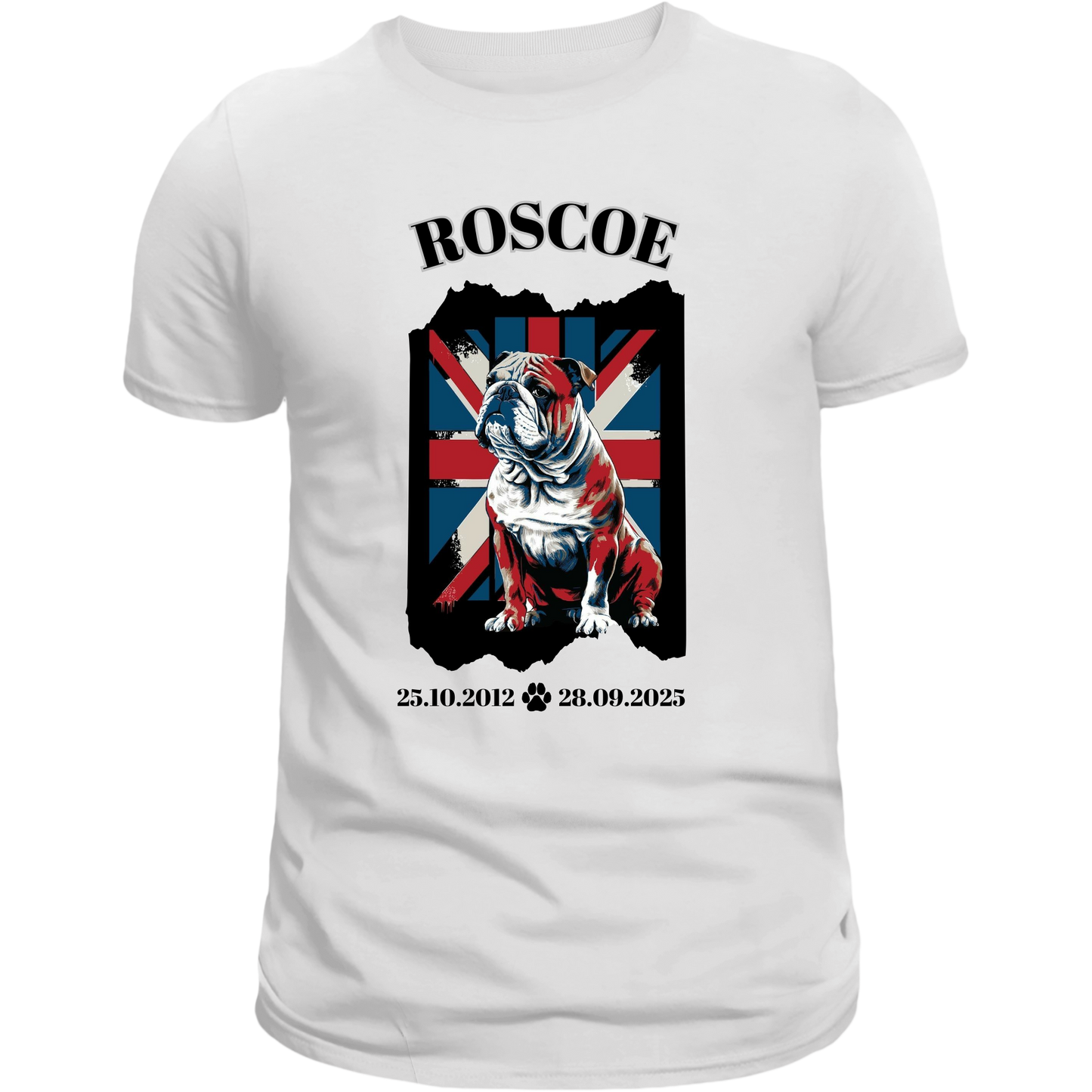 Team Roscoe 3 TS